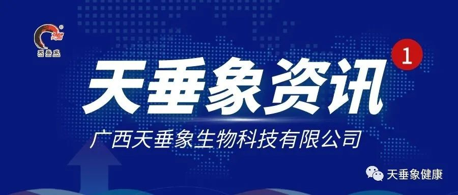 【天垂象资讯】天垂象公司荣获首届广西著名品牌称号！